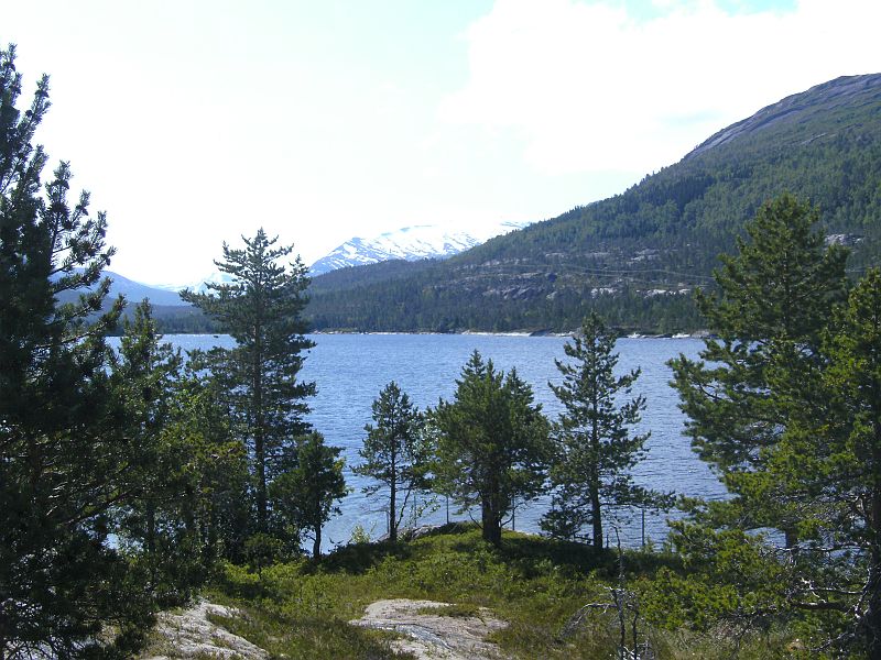 Nordkap 2009 440.jpg